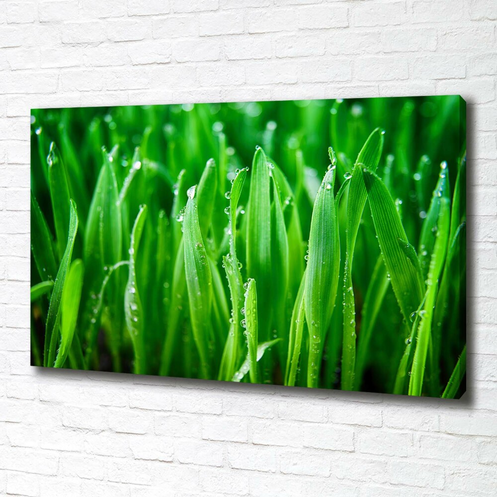 Canvas wall art Grass