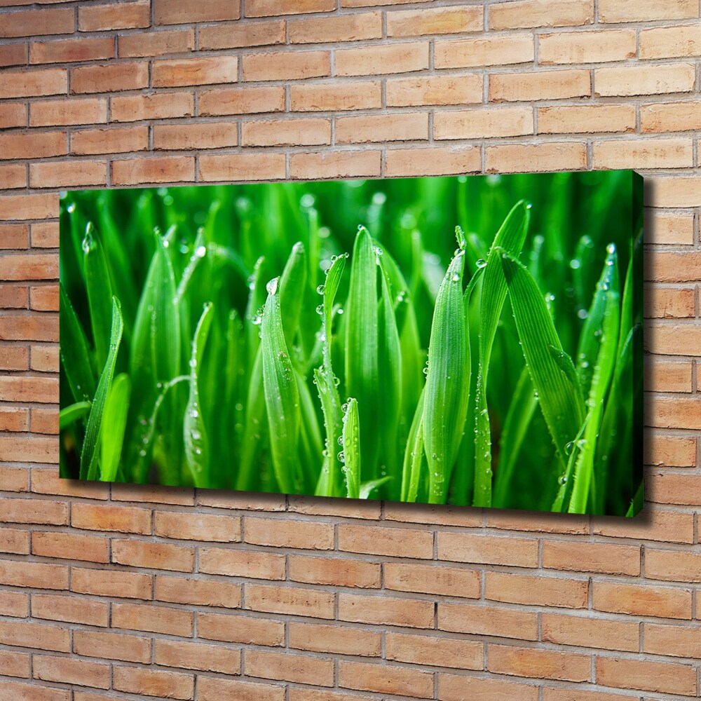 Canvas wall art Grass