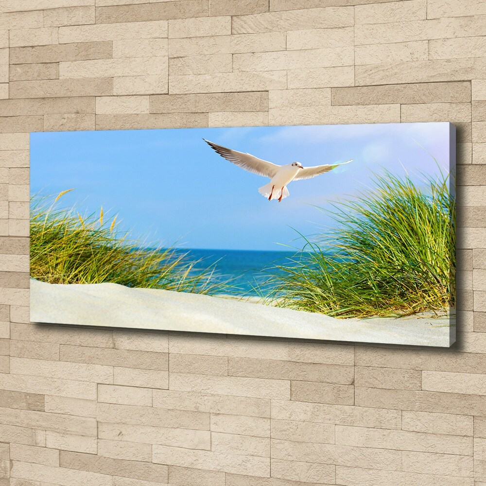 Canvas wall art Seagull on the beach