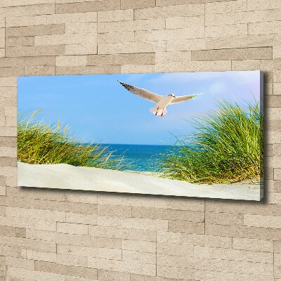 Canvas wall art Seagull on the beach