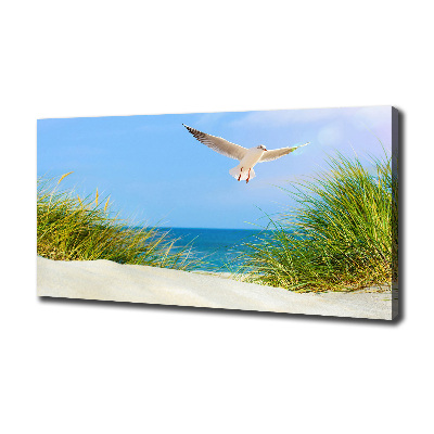 Canvas wall art Seagull on the beach