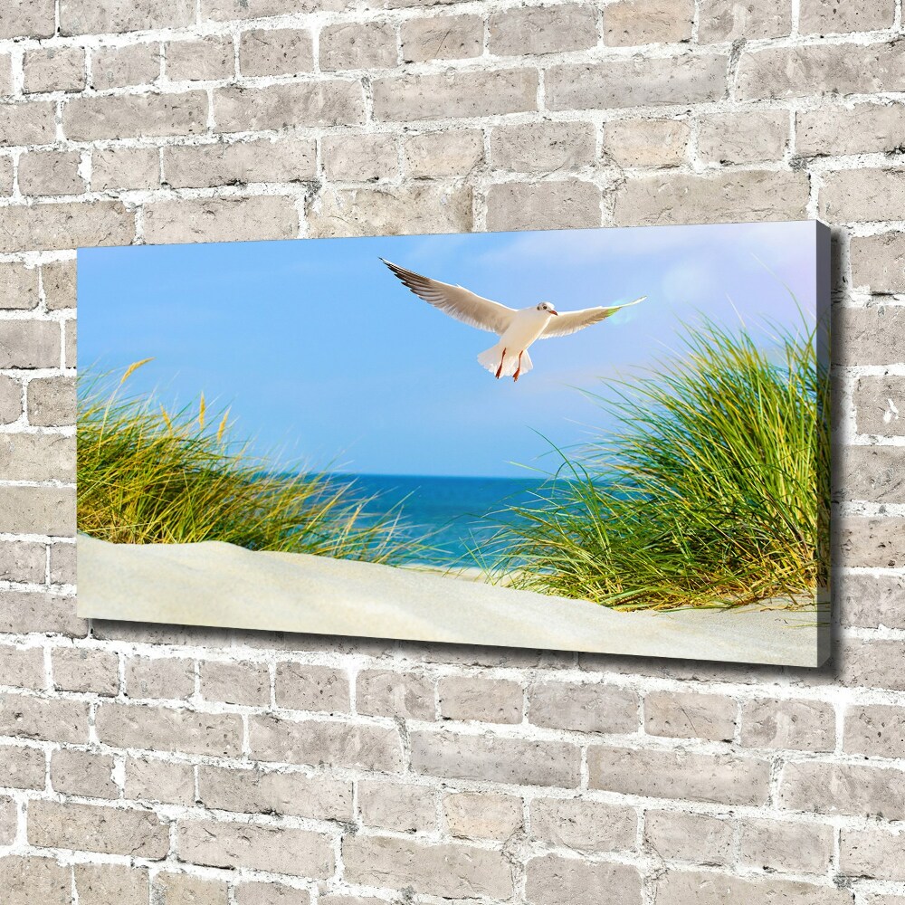 Canvas wall art Seagull on the beach