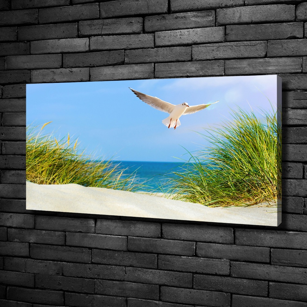 Canvas wall art Seagull on the beach