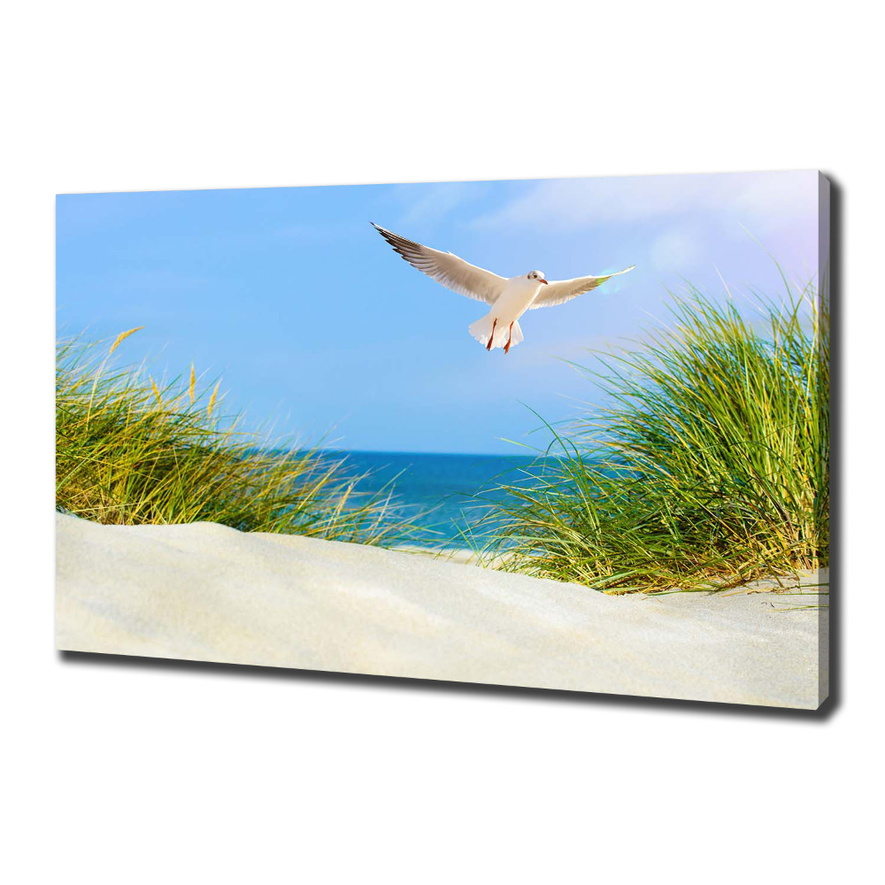 Canvas wall art Seagull on the beach