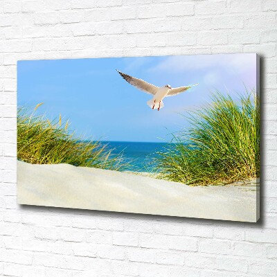 Canvas wall art Seagull on the beach