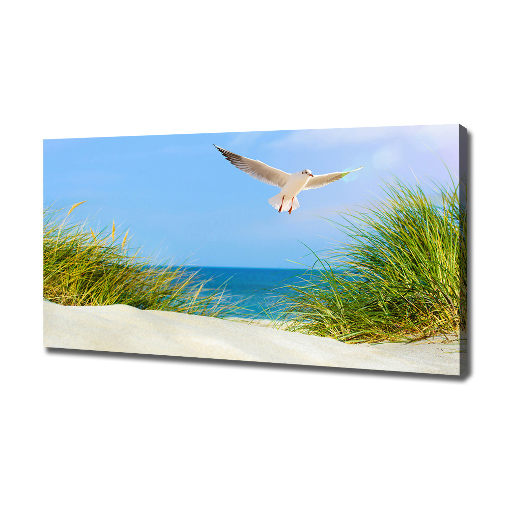 Canvas wall art Seagull on the beach