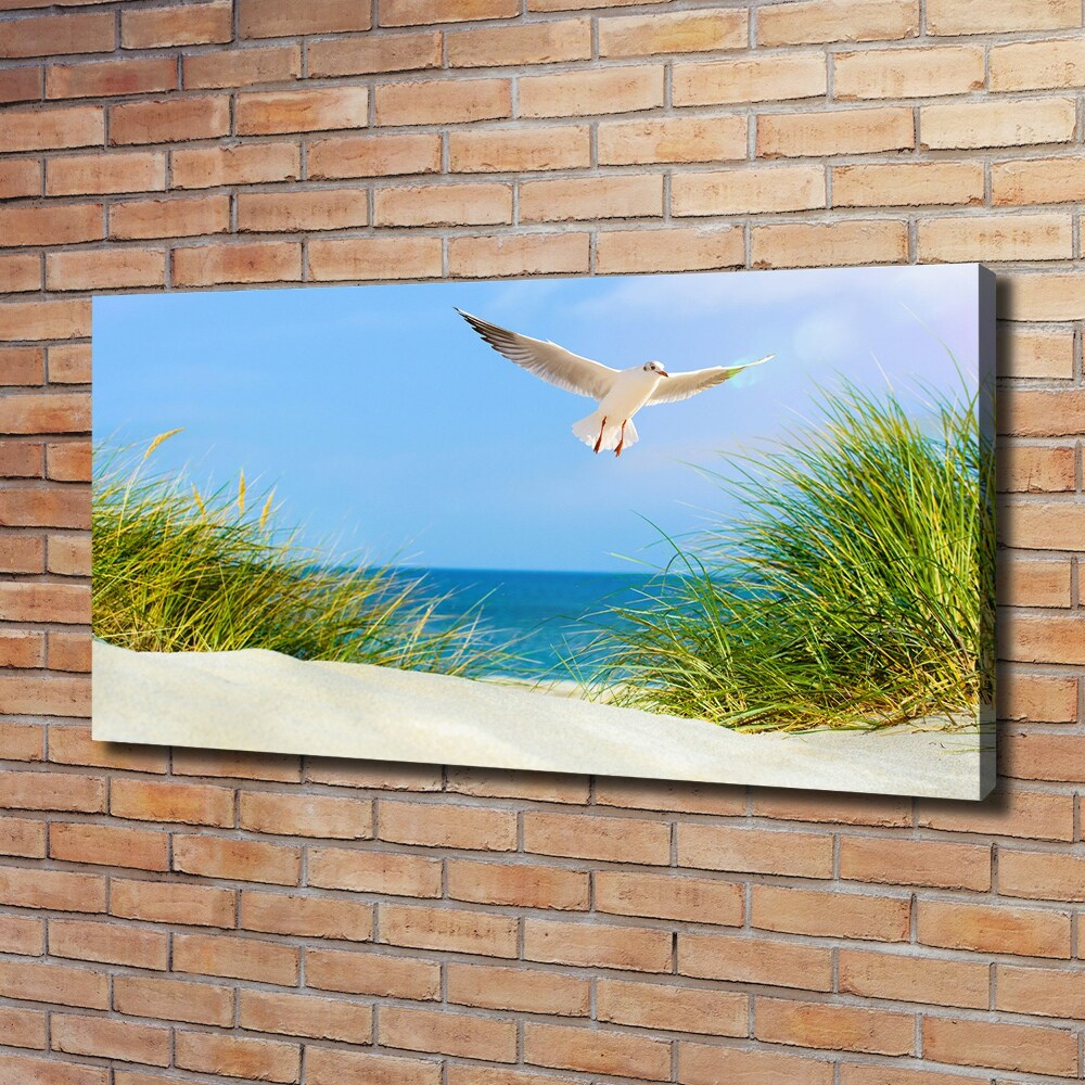 Canvas wall art Seagull on the beach