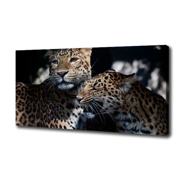 Large canvas wall art Two leopards