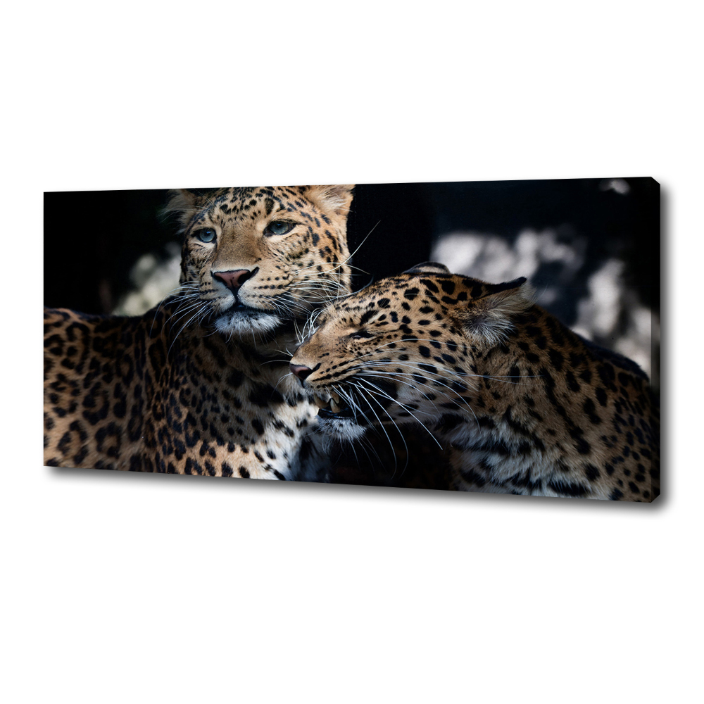 Large canvas wall art Two leopards