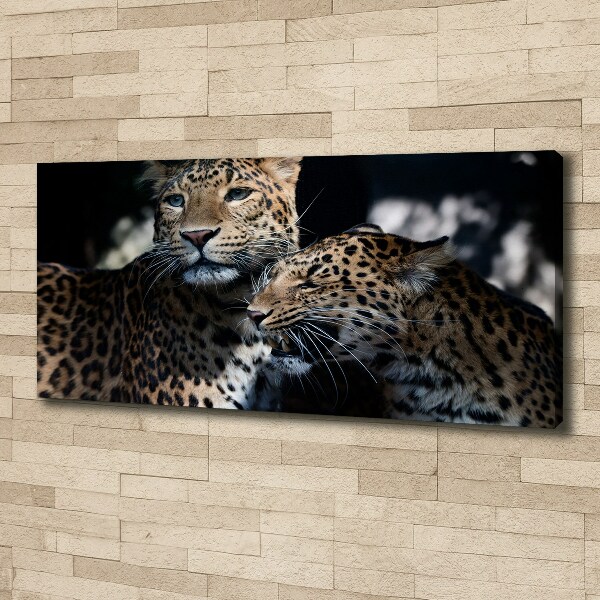 Large canvas wall art Two leopards