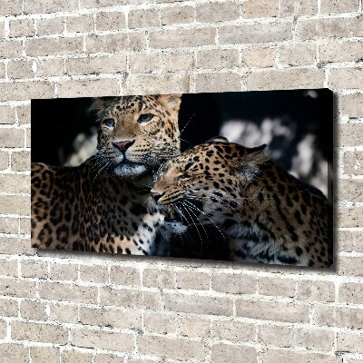 Large canvas wall art Two leopards