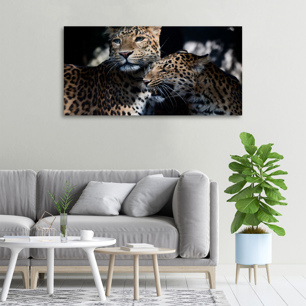 Large canvas wall art Two leopards