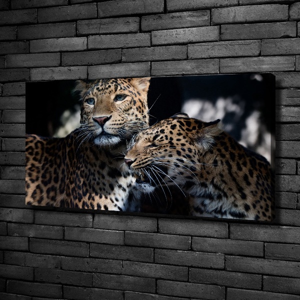 Large canvas wall art Two leopards