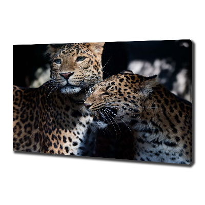 Large canvas wall art Two leopards