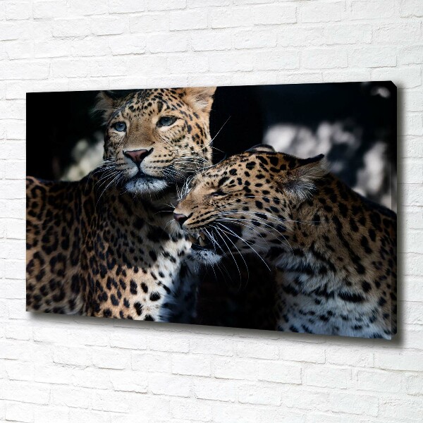 Large canvas wall art Two leopards