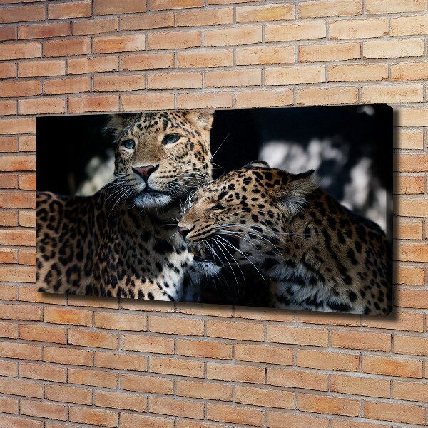 Large canvas wall art Two leopards