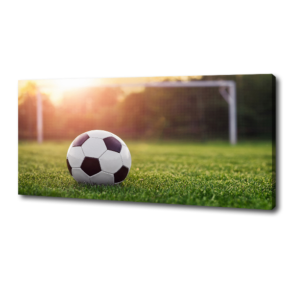 Canvas wall art Football