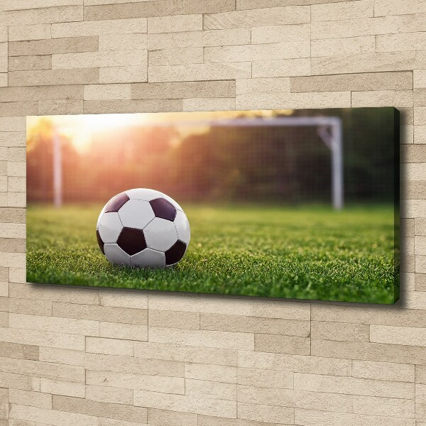 Canvas wall art Football