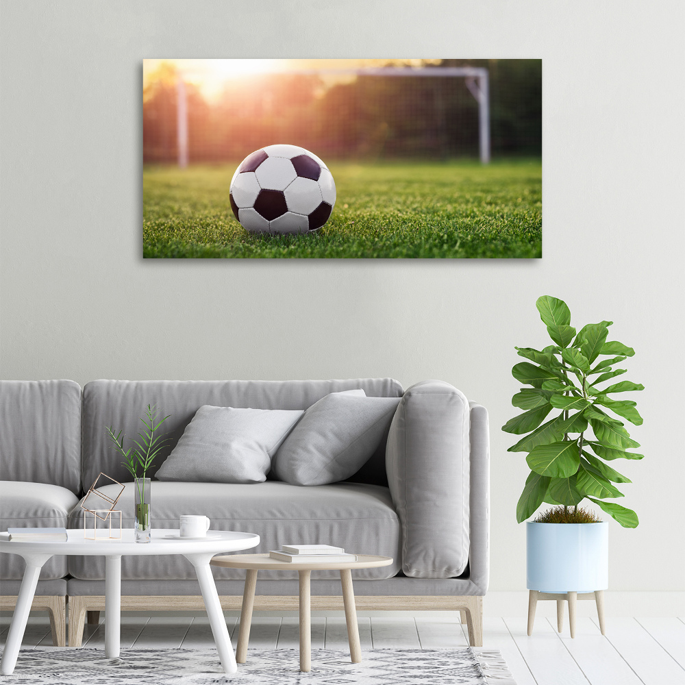 Canvas wall art Football