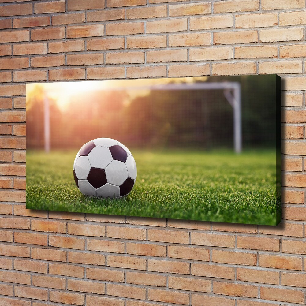 Canvas wall art Football