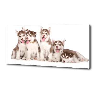 Canvas print Husky puppies