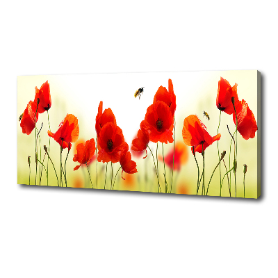 Canvas wall art Macs