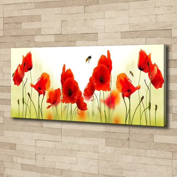 Canvas wall art Macs