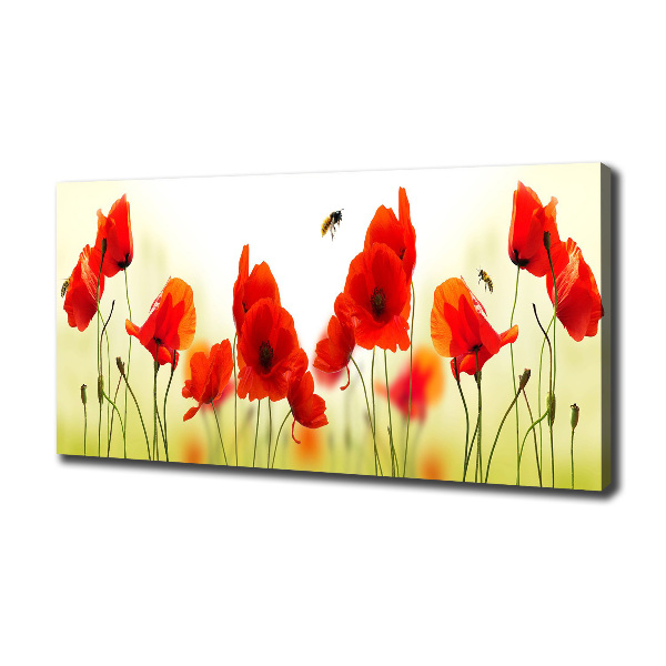 Canvas wall art Macs