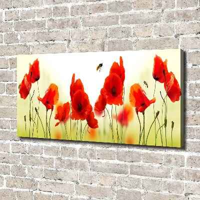 Canvas wall art Macs