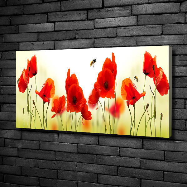 Canvas wall art Macs