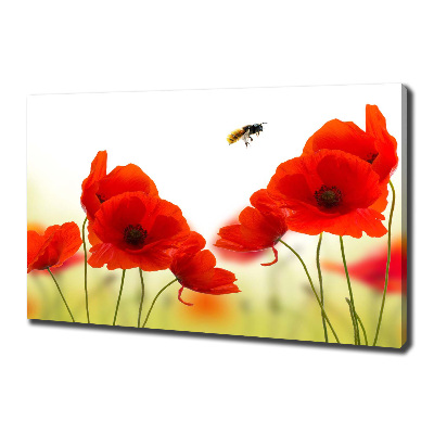 Canvas wall art Macs