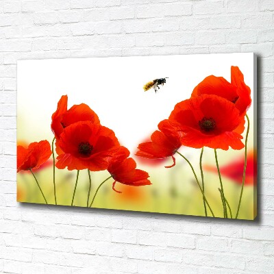 Canvas wall art Macs