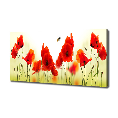 Canvas wall art Macs