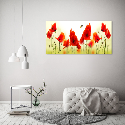 Canvas wall art Macs