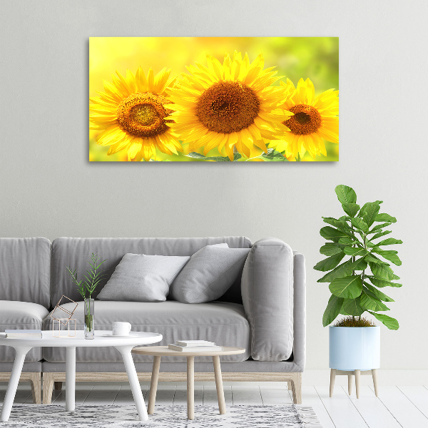 Canvas wall art Sunflowers