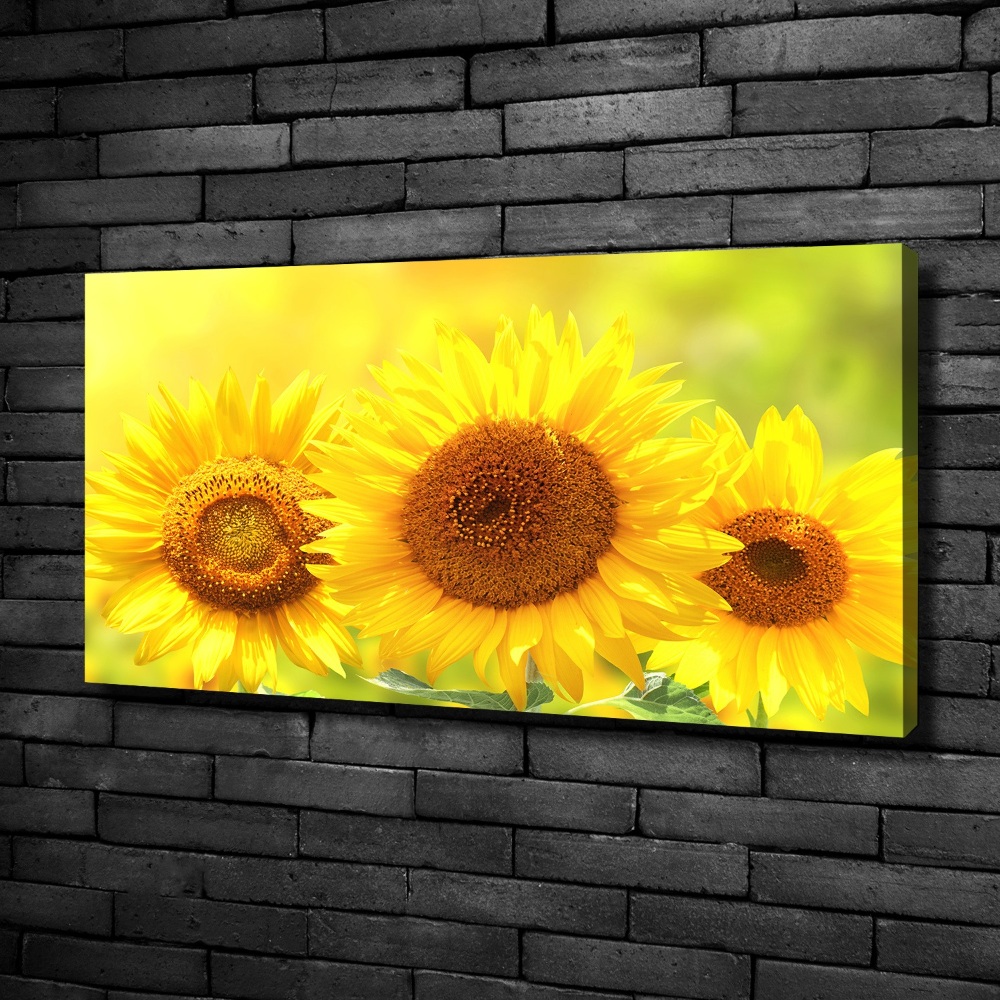 Canvas wall art Sunflowers