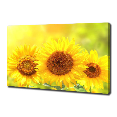 Canvas wall art Sunflowers