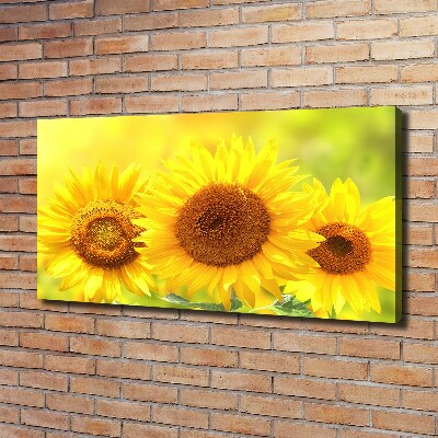 Canvas wall art Sunflowers