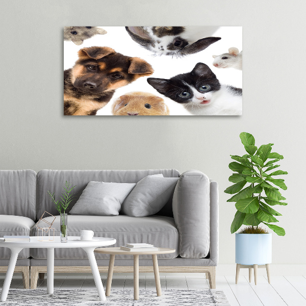 Canvas print Pets