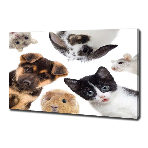 Canvas print Pets