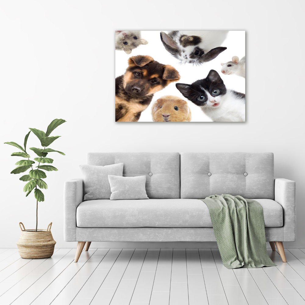 Canvas print Pets