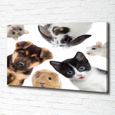 Canvas print Pets