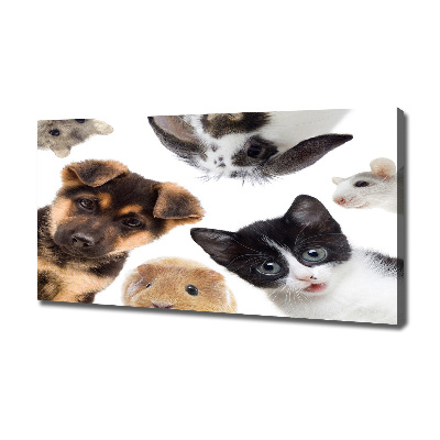 Canvas print Pets