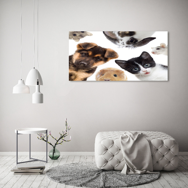 Canvas print Pets