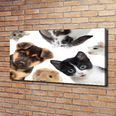 Canvas print Pets