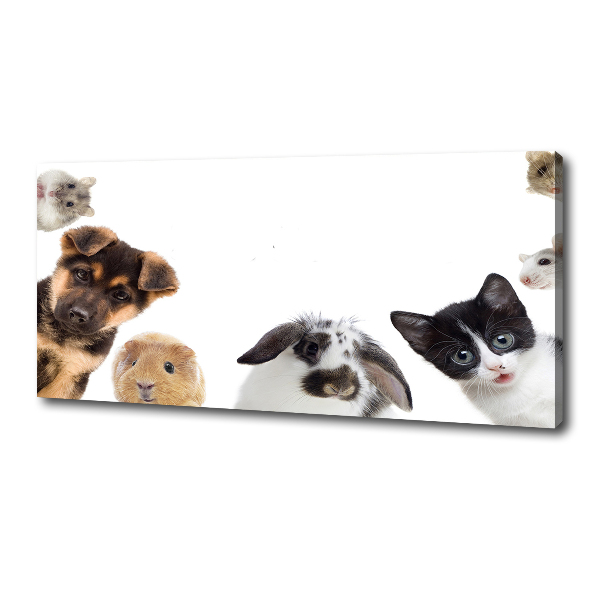 Canvas print Pets