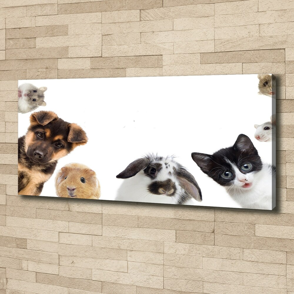 Canvas print Pets