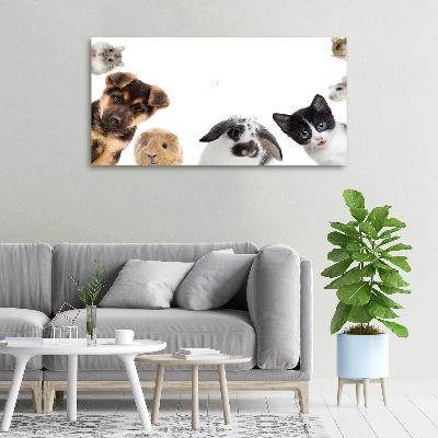 Canvas print Pets