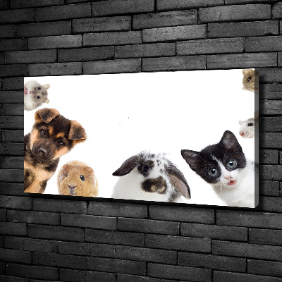 Canvas print Pets