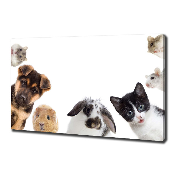 Canvas print Pets